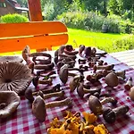 19 - Na Mazurach * Pasterzewo