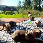 19 - Na Mazurach Сasa de vacaciones Pasterzewo