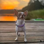 19 - Na Mazurach Сasa de vacaciones Pasterzewo