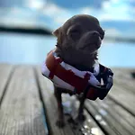 19 - Na Mazurach Сasa de vacaciones Pasterzewo