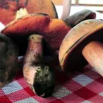 19 - Na Mazurach Pasterzewo