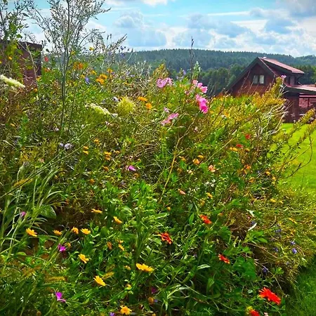 Hébergement de vacances 19 - Na Mazurach Pasterzewo
