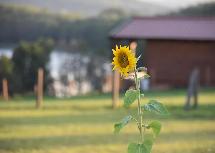 19 - Na Mazurach Дом отдыха Pasterzewo