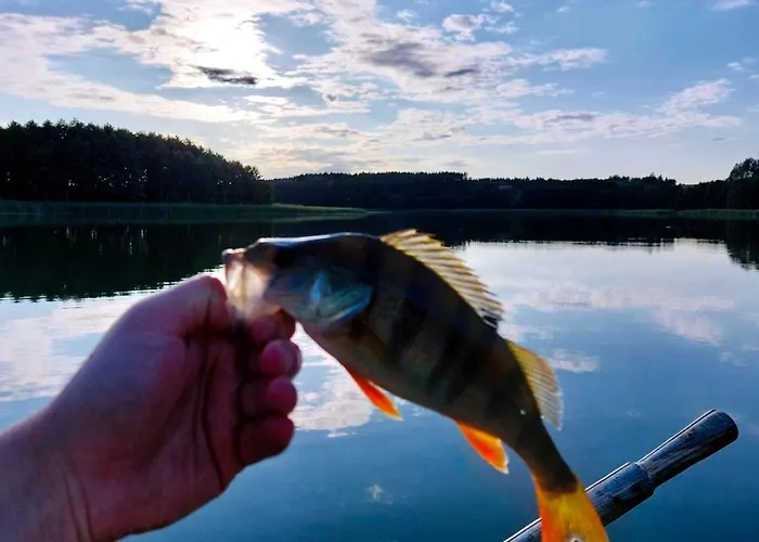 19 - Na Mazurach Дом отдыха