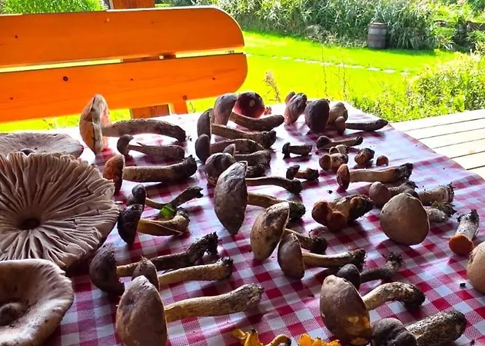 19 - Na Mazurach * Pasterzewo