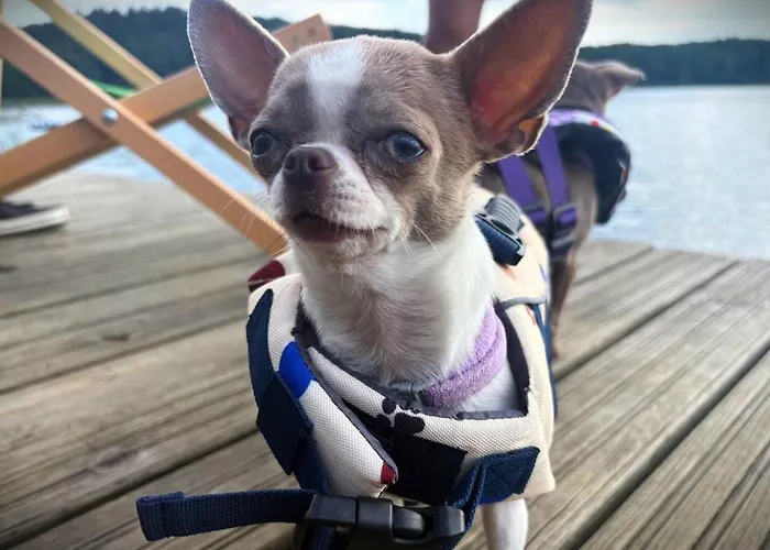 19 - Na Mazurach Pasterzewo