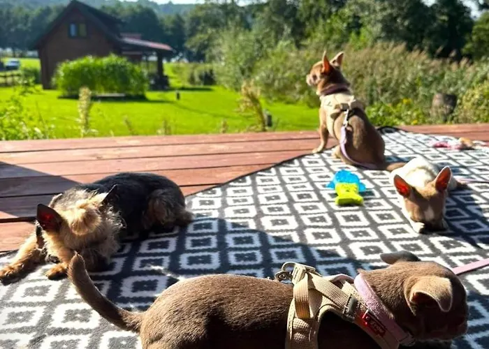 19 - Na Mazurach Дом отдыха Pasterzewo