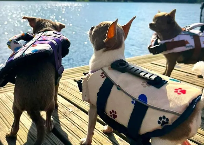 19 - Na Mazurach * Pasterzewo