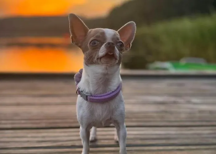 19 - Na Mazurach Holiday home Pasterzewo