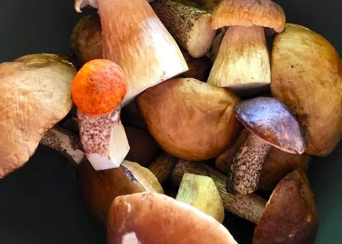 Дом отдыха 19 - Na Mazurach *