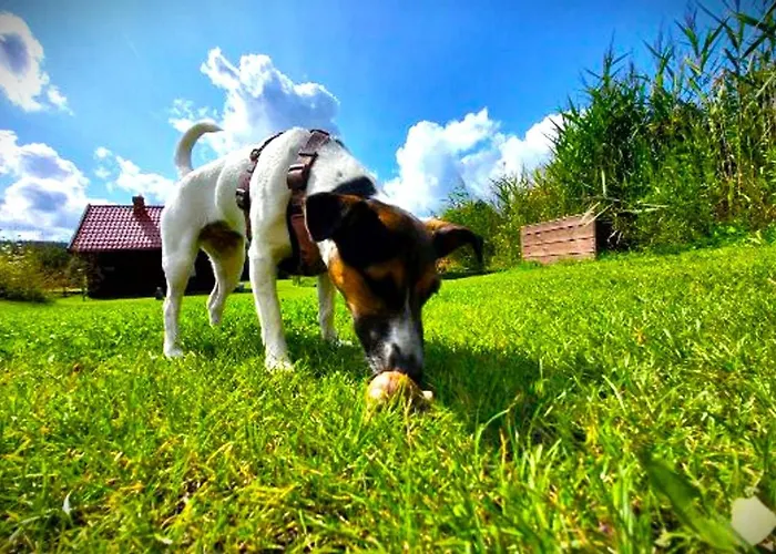 19 - Na Mazurach Pasterzewo