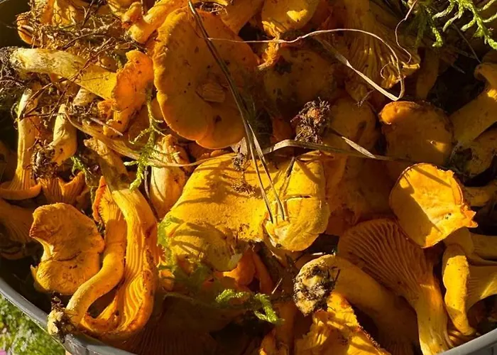 19 - Na Mazurach Pasterzewo