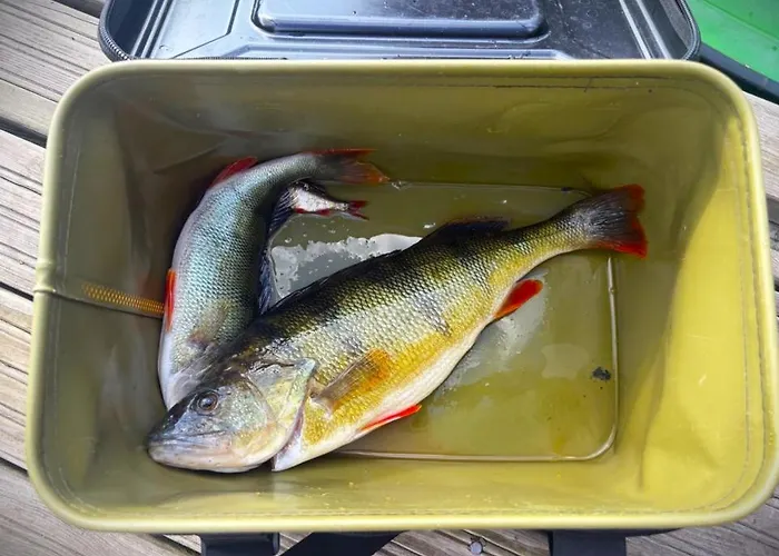 19 - Na Mazurach * Pasterzewo