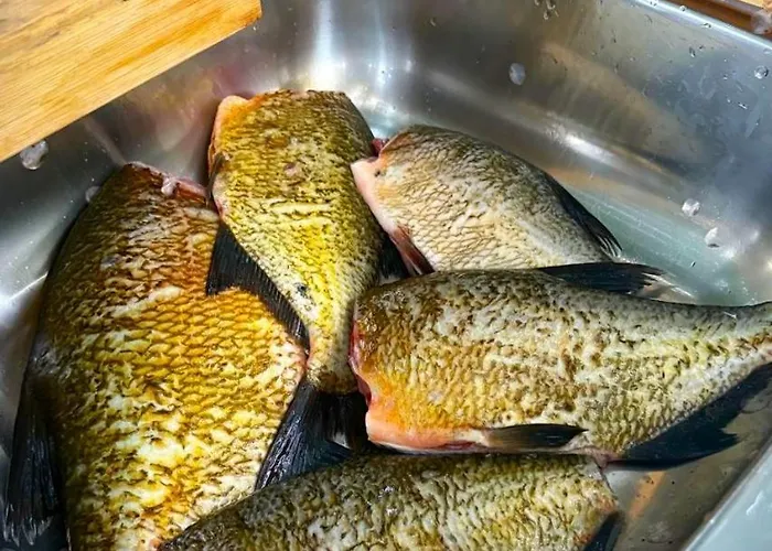 Holiday home 19 - Na Mazurach