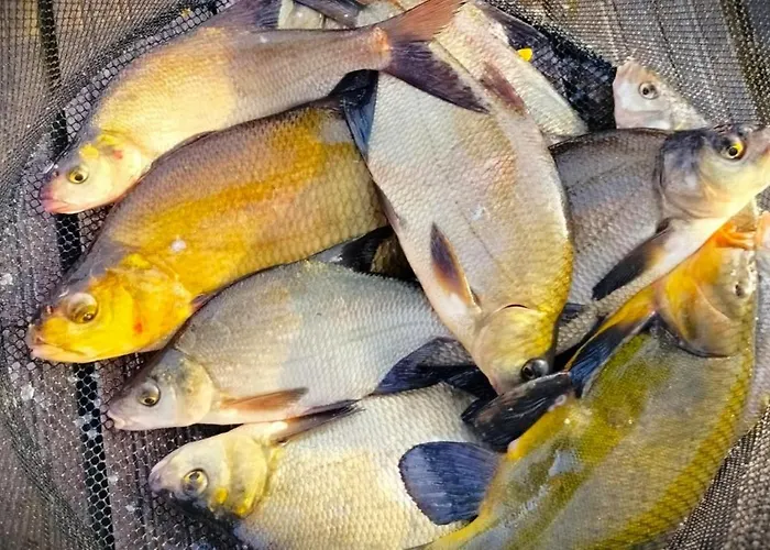 Holiday home 19 - Na Mazurach *