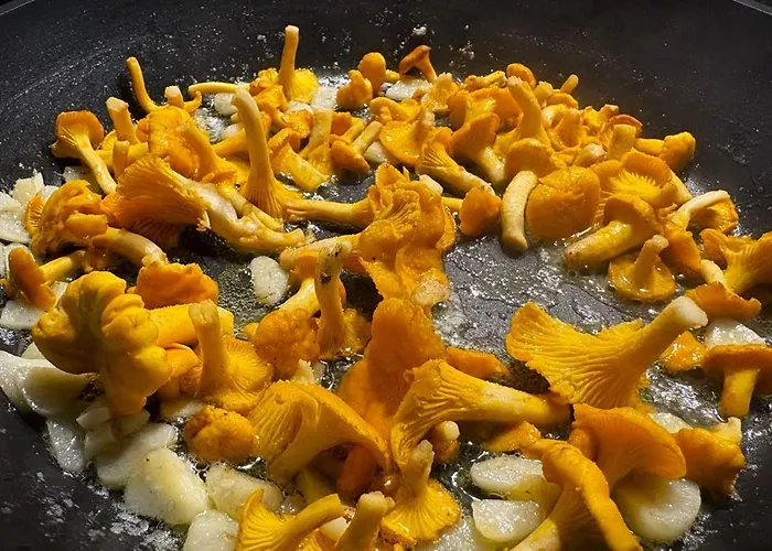 19 - Na Mazurach Дом отдыха