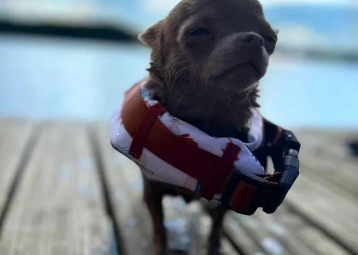 19 - Na Mazurach Дом отдыха Pasterzewo