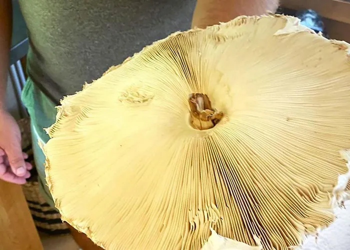 Дом отдыха 19 - Na Mazurach *