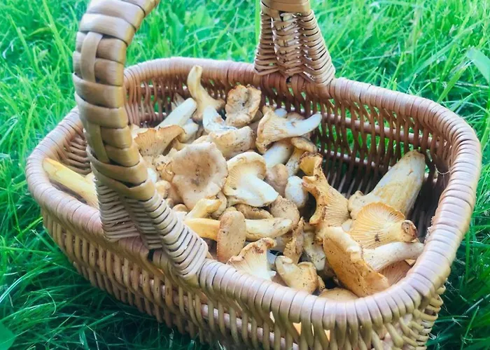 Дом отдыха 19 - Na Mazurach *