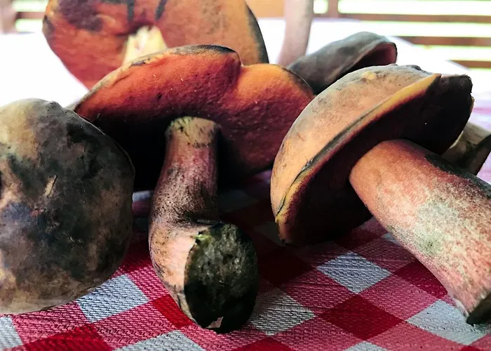 19 - Na Mazurach Pasterzewo